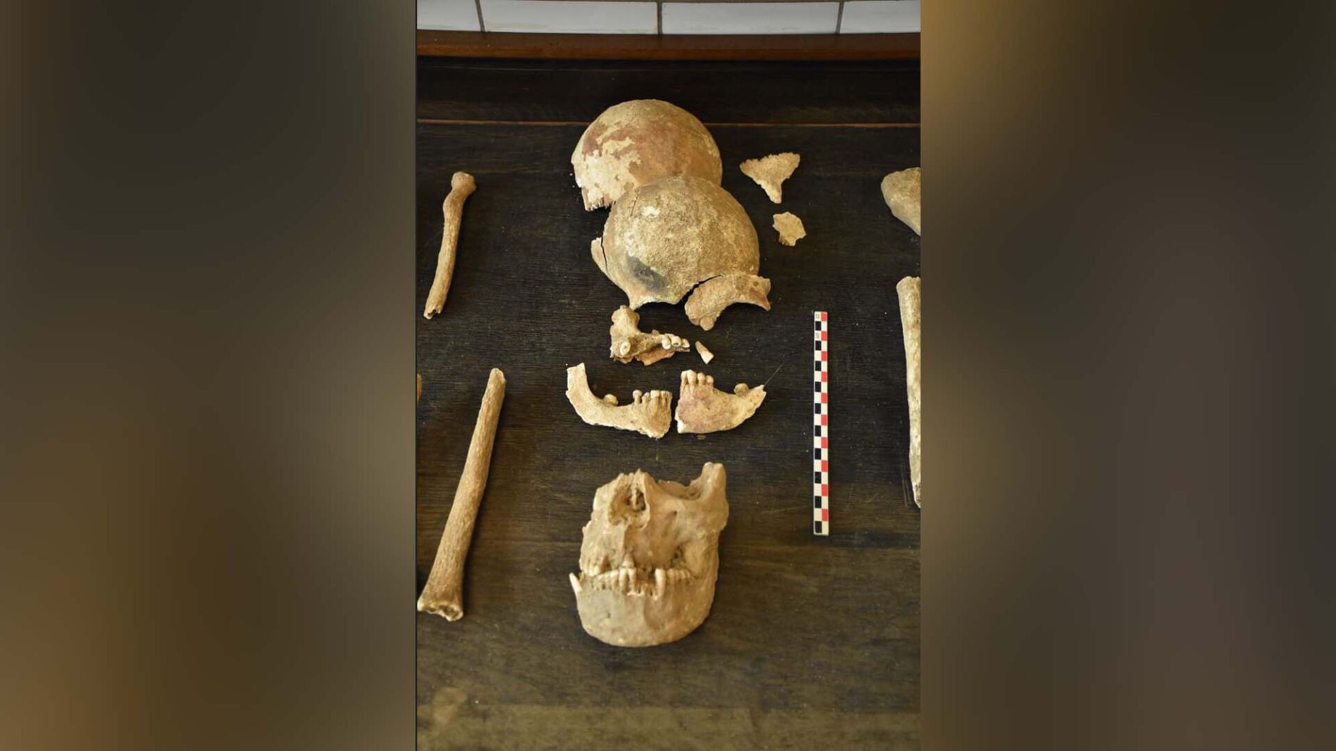 Only two bodies from the Battle of Waterloo had ever been found -- until one man revealed what was in his attic